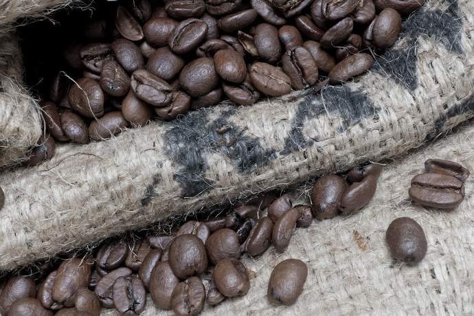 Pierwsze uprawy kawy