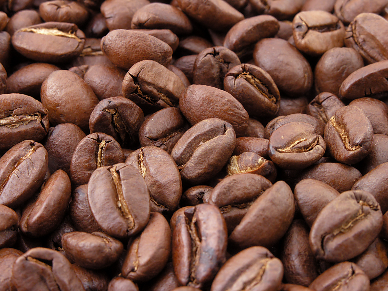 Ziarna kawy Arabika
